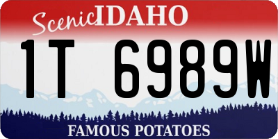 ID license plate 1T6989W