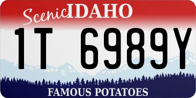 ID license plate 1T6989Y