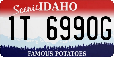 ID license plate 1T6990G