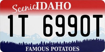 ID license plate 1T6990T