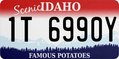 ID license plate 1T6990Y