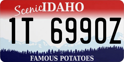ID license plate 1T6990Z