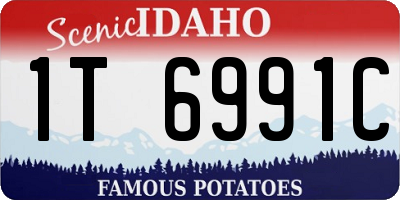 ID license plate 1T6991C