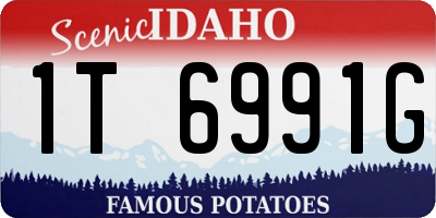 ID license plate 1T6991G