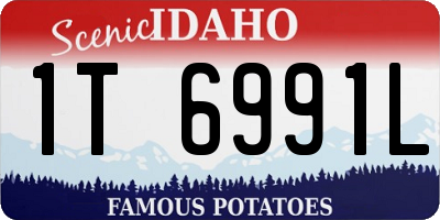 ID license plate 1T6991L