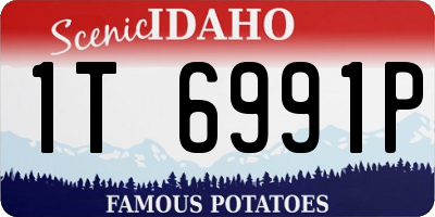 ID license plate 1T6991P