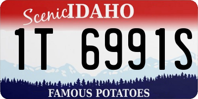 ID license plate 1T6991S