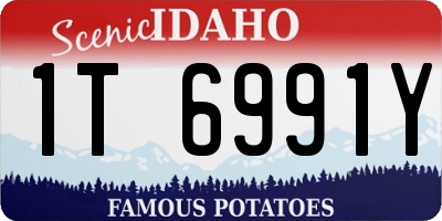 ID license plate 1T6991Y