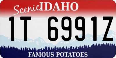 ID license plate 1T6991Z