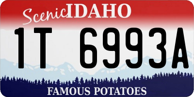 ID license plate 1T6993A
