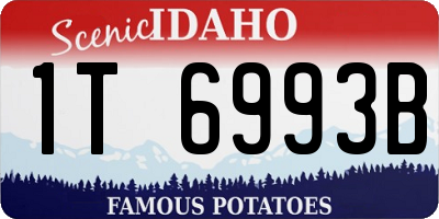 ID license plate 1T6993B