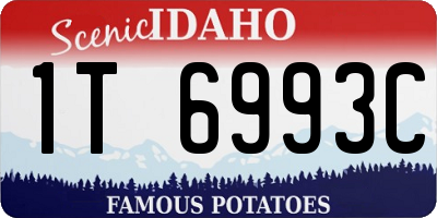 ID license plate 1T6993C