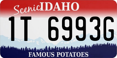 ID license plate 1T6993G
