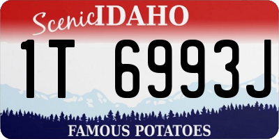 ID license plate 1T6993J
