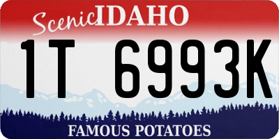 ID license plate 1T6993K