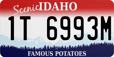 ID license plate 1T6993M