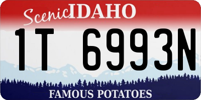 ID license plate 1T6993N