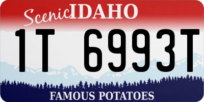 ID license plate 1T6993T