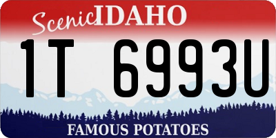 ID license plate 1T6993U