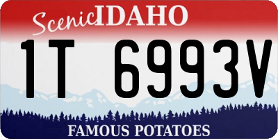 ID license plate 1T6993V