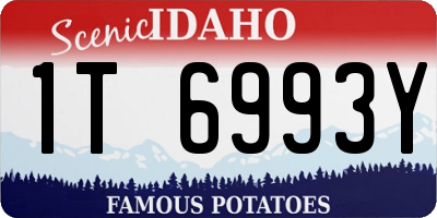 ID license plate 1T6993Y