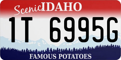 ID license plate 1T6995G