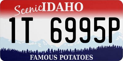 ID license plate 1T6995P