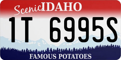ID license plate 1T6995S