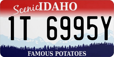ID license plate 1T6995Y