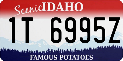 ID license plate 1T6995Z