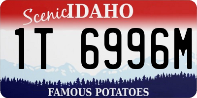 ID license plate 1T6996M