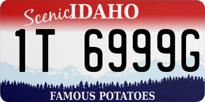 ID license plate 1T6999G