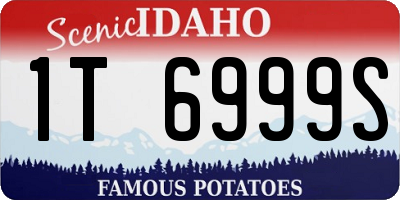 ID license plate 1T6999S