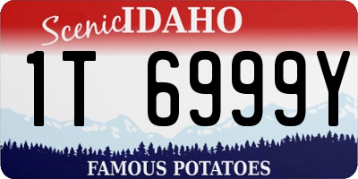 ID license plate 1T6999Y