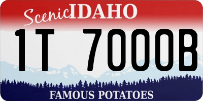 ID license plate 1T7000B