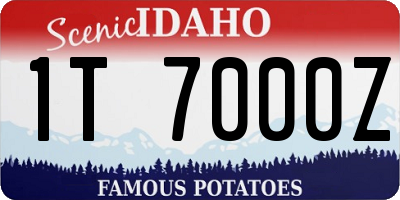 ID license plate 1T7000Z