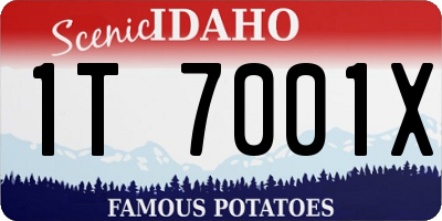 ID license plate 1T7001X