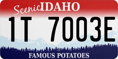 ID license plate 1T7003E