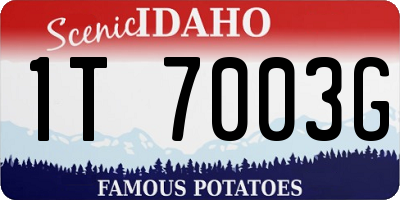 ID license plate 1T7003G