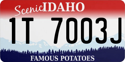 ID license plate 1T7003J