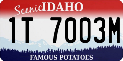 ID license plate 1T7003M
