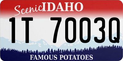 ID license plate 1T7003Q