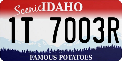 ID license plate 1T7003R