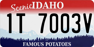 ID license plate 1T7003V