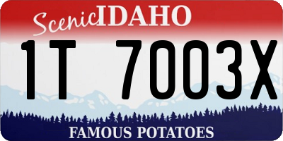 ID license plate 1T7003X