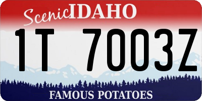 ID license plate 1T7003Z
