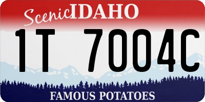 ID license plate 1T7004C