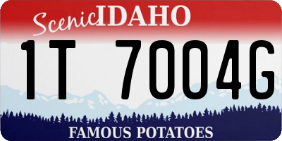ID license plate 1T7004G