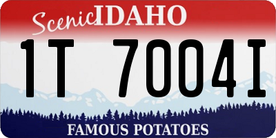 ID license plate 1T7004I