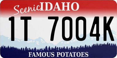 ID license plate 1T7004K